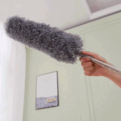 Shiny Wipes™ Dusting Kit